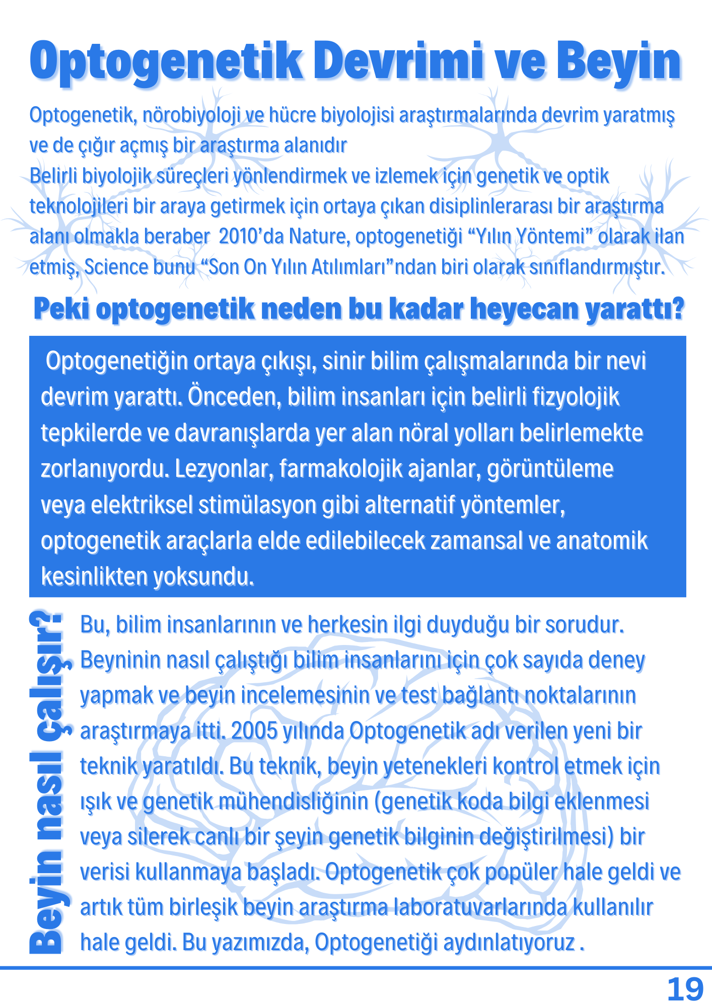 Optogenetik Devrimi ve Beyin